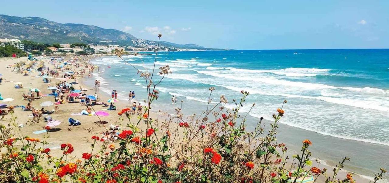 Villa Paula Alcossebre Mar Y Montana 외부 사진